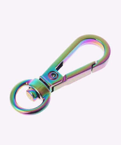 swivel hook buckle small rainbow (1)