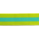 (Tula Pink) Nylon Webbing, Classic Lime with Bright Aqua 1.5" - Image 2