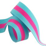 (Tula Pink) Nylon Webbing, Blue Aqua with Hot Pink 1.5"