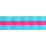(Tula Pink) Nylon Webbing, Blue Aqua with Hot Pink 1.5" - Image 2
