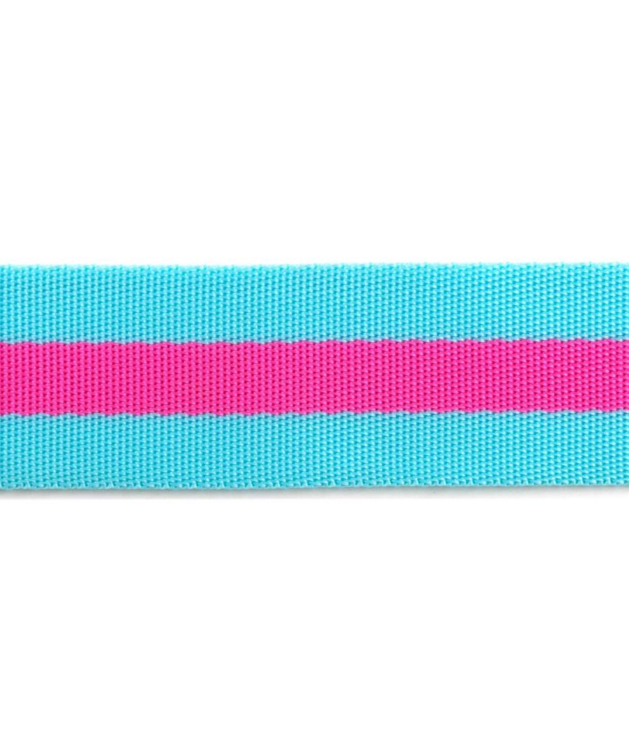 Alternative view of (Tula Pink) Nylon Webbing, Blue Aqua with Hot Pink 1.5"