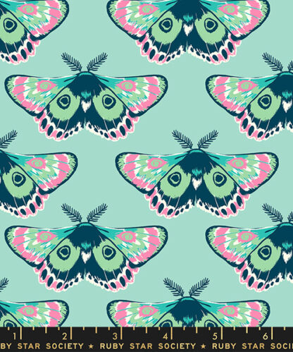 (Sarah Watts) Firefly, Glow Moth in Frost