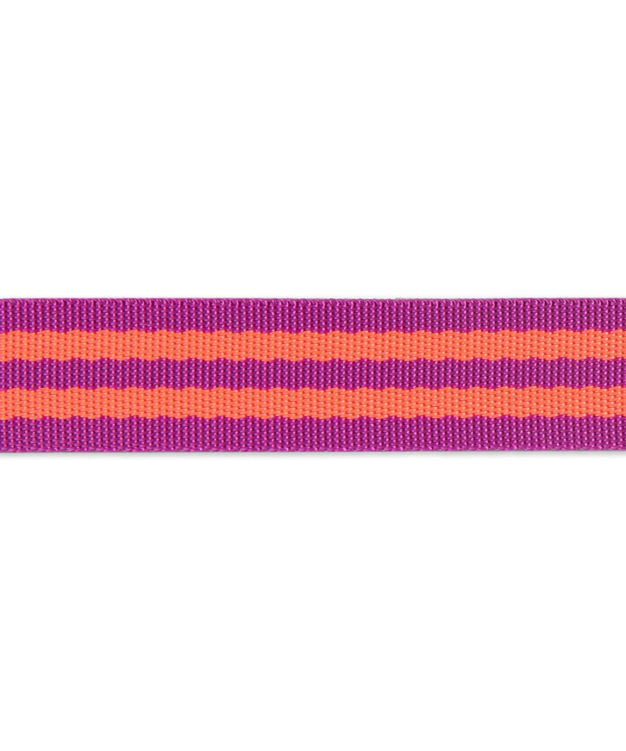 Watermelon/Plum- 1"- Tula Pink Webbing