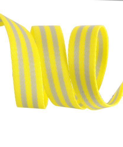 Grey/Neon Yellow- 1"- Tula Pink Webbing