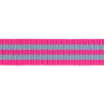 Aqua/Hot Pink- 1"- Tula Pink Webbing