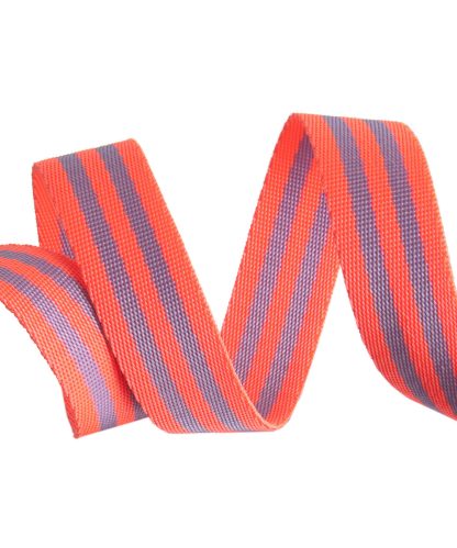 Lavender/Pink- 1"- Tula Pink Webbing